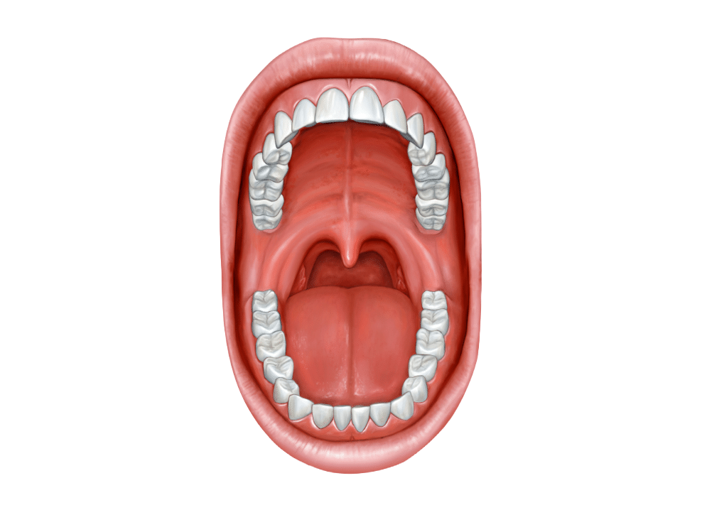 Deep Learning for Orthodontic Photos